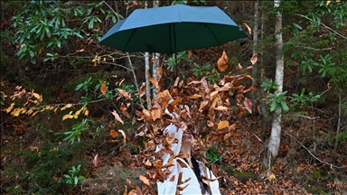 مرتفعات "هامسي كوي".. جمال تزينه ألوان الخريف بتركيا