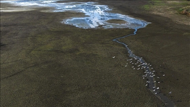 Belevi Gölü yaşanan kuraklık nedeniyle alarm veriyor