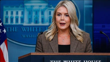 White House drafting order to tackle alleged voter 'fraud' in California: Spokesperson