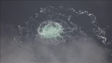 Nord Stream sabotage suspect on hunger strike in Italy