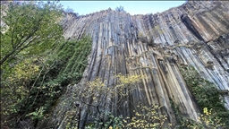 Sinop'ta milyon yıllık bazalt kayalıkları sonbahar renklerine büründü