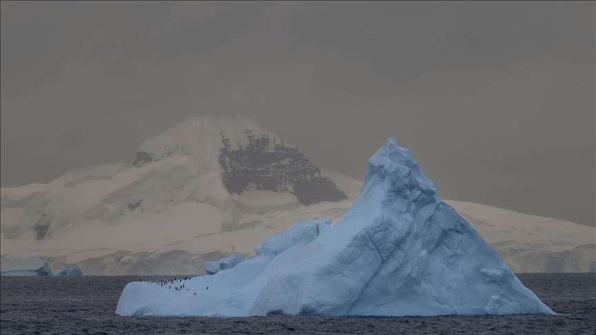 Ледник Хектория в Антарктиде отступил более чем на 8 км всего за два месяца