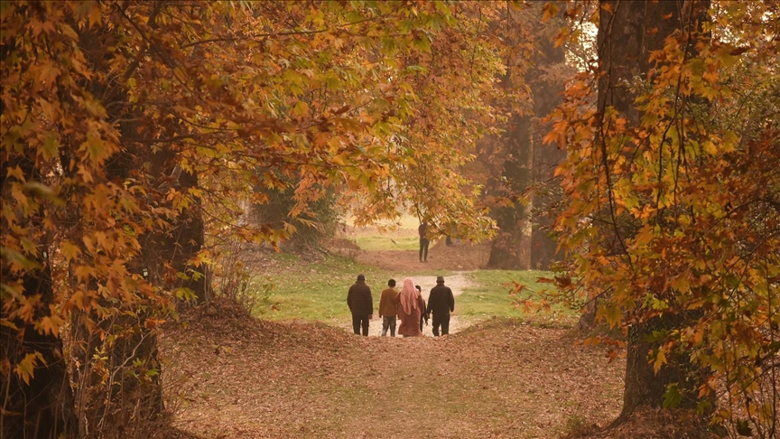 Sezoni i vjeshtës kthen Kashmirin në ngjyrë të artë dhe të kuqe