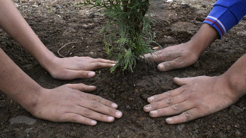 Atatürk'ü Anma Günü ile Milli Ağaçlandırma Günü'nde okullarda fidan dikim etkinlikleri yapılacak