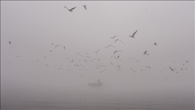 'Grave environmental injustice': Study shows poorest areas in England, Wales still breathing dirtiest air