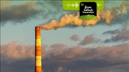 Atmosferdeki sera gazları rekoru nelere yol açacak?