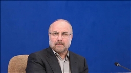 رئیس مجلس ایران به پاکستان رفت