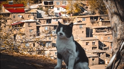 Xaniyên kevir ên Bidlîsê bi dîmenê xwe yê payîzê va mazûvaniya hezjêkerên wêneyan dikin