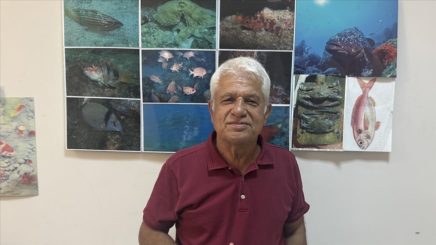 Mavi tura çıkanlar Meis Adası'nda yavru Akdeniz foku ve ailesini görüntüledi