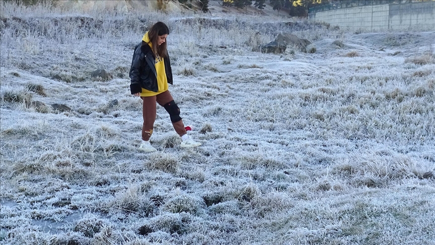 Kars'ta soğuk hava ve kırağı etkili oldu