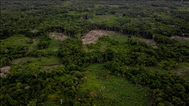 Amazon edging toward 'point of no return,' scientist warns ahead of COP30