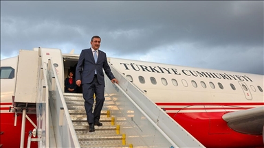 Cumhurbaşkanı Yardımcısı Yılmaz Brezilya'ya geldi