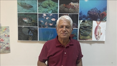 Mavi tura çıkanlar Meis Adası'nda yavru Akdeniz foku ve ailesini görüntüledi