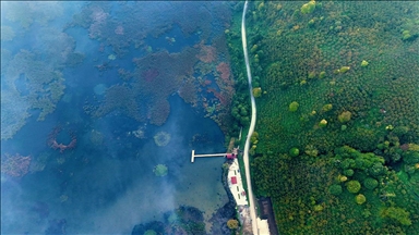 Efteni Kuş Cenneti'nde sonbahar renkleriyle sis ahenk oluşturdu