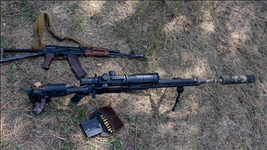 Japan tweaks law allowing police to use rifles against bears