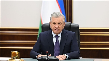 Uzbek president meets US lawmakers to discuss trade, regional cooperation