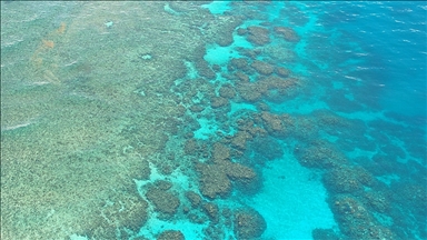 Küresel ısınma 2 derecenin altında tutulursa, Büyük Set Resifi'nin bir kısmı "iyileşebilir"