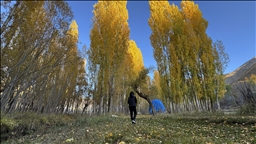 Li Bidlîsê hawirdor bi rengên payîzê xemilî