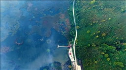 Efteni Kuş Cenneti'nde sonbahar renkleriyle sis ahenk oluşturdu