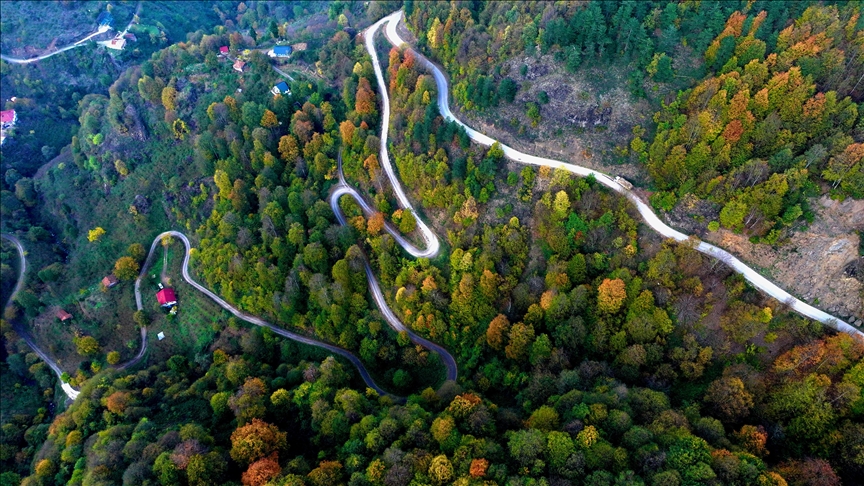 Turqi, ngjyrat në parkun natyror të ujëvarës Guzeldere krijojnë peizazhe vjeshtore