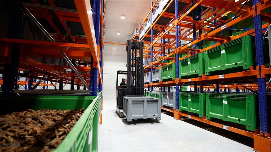 Malatya kayısısı lisanslı depo sayesinde dünya pazarındaki yerini korudu