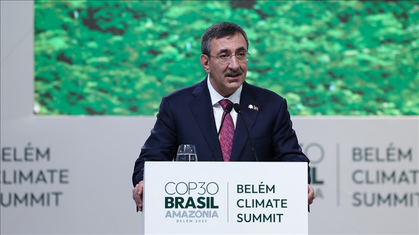 Türkiye aims to serve as a bridge between Global North, South in tackling climate change: Vice president