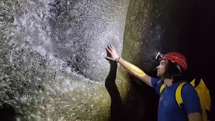 Ogromna mreža sa 110.000 pauka otkrivena na grčko-albanskoj granici