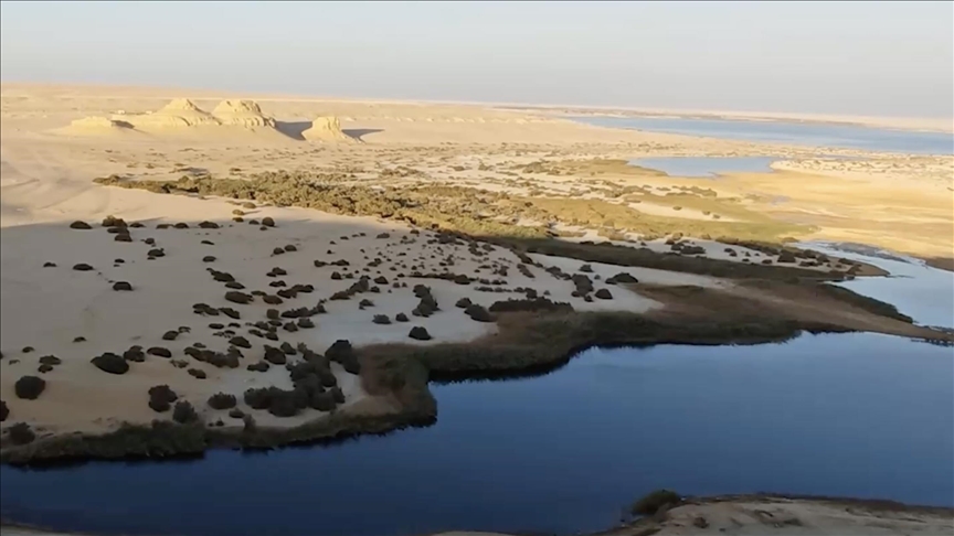 "وادي الحيتان" بمصر.. كنز بيئي نهارا وجلسة للسمر ليلا (تقرير)