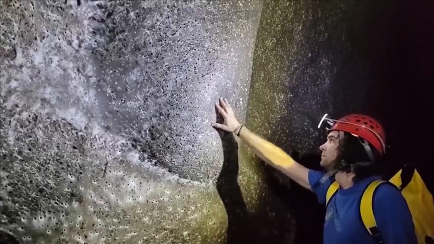 Rrjeta më e madhe e merimangës në botë është zbuluar në kufirin Greqi-Shqipëri
