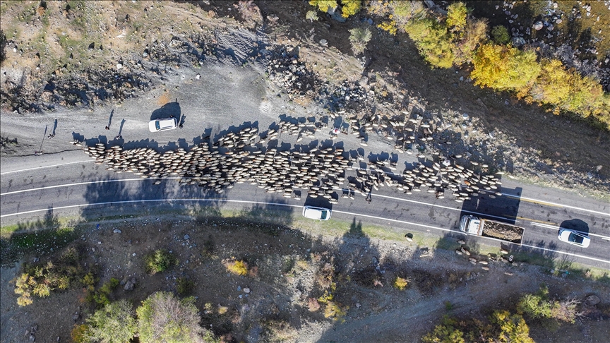 Koçer ji zozanên 3 hezar raqimî dadigerin