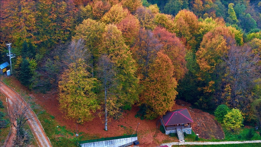 Турскиот Парк на природата во Ѓузeлдере ги пречекува посетителите со раскошот на есенски бои