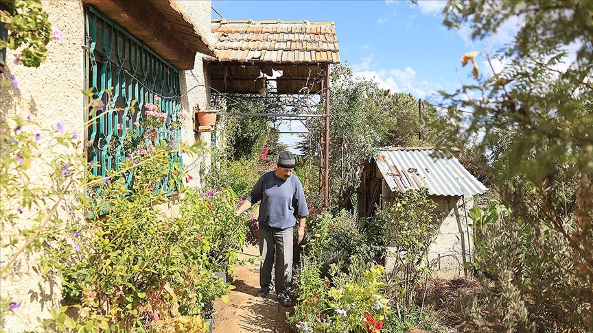  Suriyeli koleksiyoner Receb, evinde binlerce bitki türü yetiştiriyor