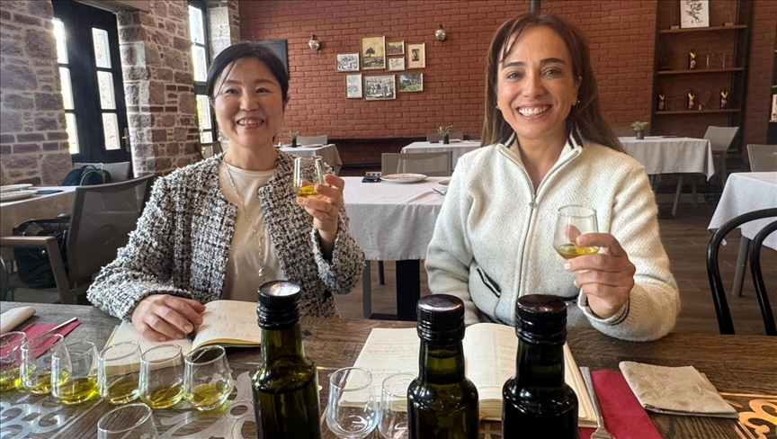 Japon şef Türk zeytinyağlarını harmanlayarak Uzak Doğu'ya tanıtıyor