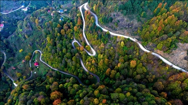 Turqi, ngjyrat në parkun natyror të ujëvarës Guzeldere krijojnë peizazhe vjeshtore