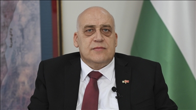 Насри Абу Джейш: Турция является крупнейшим сторонником Палестины