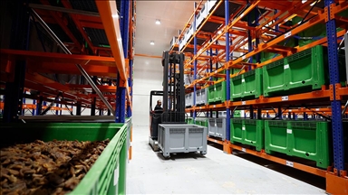 Malatya kayısısı lisanslı depo sayesinde dünya pazarındaki yerini korudu