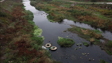 Balıkesir'deki Gönen Çayı'nda kirliliğe karşı tedbir çağrısı