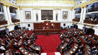 Парламент Перу объявил президента Мексики персоной нон грата