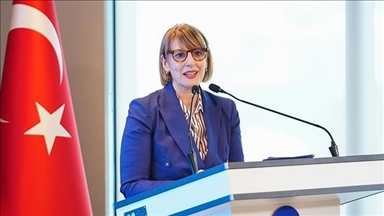 UK envoy praises Türkiye’s ‘critical’ role in Syria, urges cooperation on regional crises