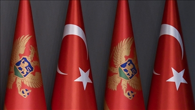 Karadağlı siyasetçi Cikotic, Türkiye ile güçlü ekonomik, kültürel ve tarihsel bağların bulunduğunu söyledi