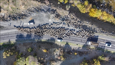 Koçer ji zozanên 3 hezar raqimî dadigerin
