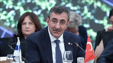 Türkiye places energy transformation at center of development strategy: Vice president