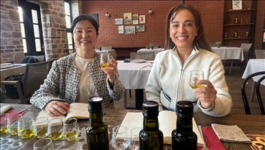 Japon şef Türk zeytinyağlarını harmanlayarak Uzak Doğu'ya tanıtıyor