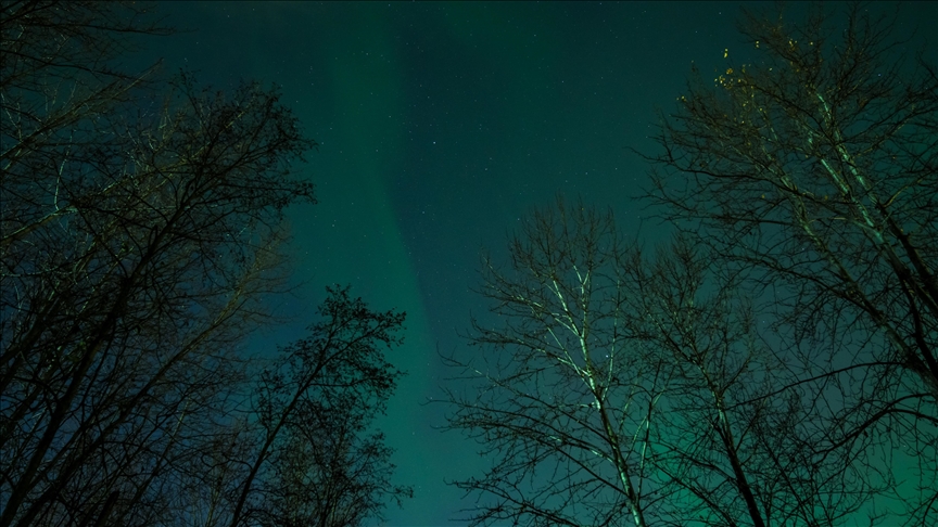 Dritat veriore ndriçojnë qiellin e natës në Alaskë