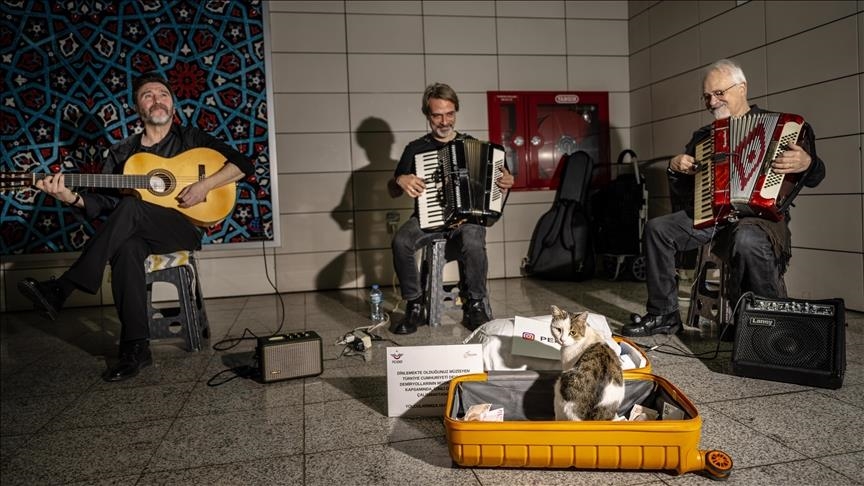 صديقة العازفين.. القطة "سيركجيلي" تبعث الدفء بقلوب المارة في إسطنبول