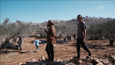 الضفة.. إصابة صحفيين ومتضامنين باعتداء شنه مستوطنون جنوب نابلس