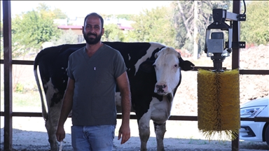 e-Devlet Kapısı'ndan gönderdiği başvuru Adanalı teknisyeni süt çiftliği sahibi yaptı