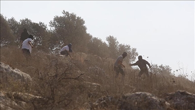 نقابة: هجوم المستوطنين على الصحفيين بالضفة "جريمة حرب"