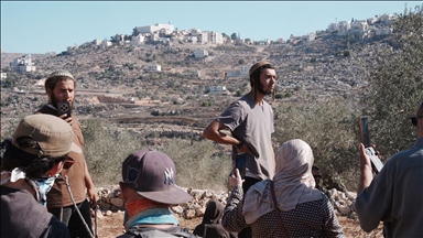 حماس: اعتداء مستوطنين على صحفيين ومتضامنين بنابلس يفضح فاشية الاحتلال