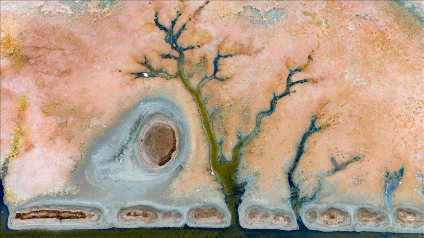 Турција: „Птичјиот рај Кавунџу“ ја губи својата поранешна живост поради сушата